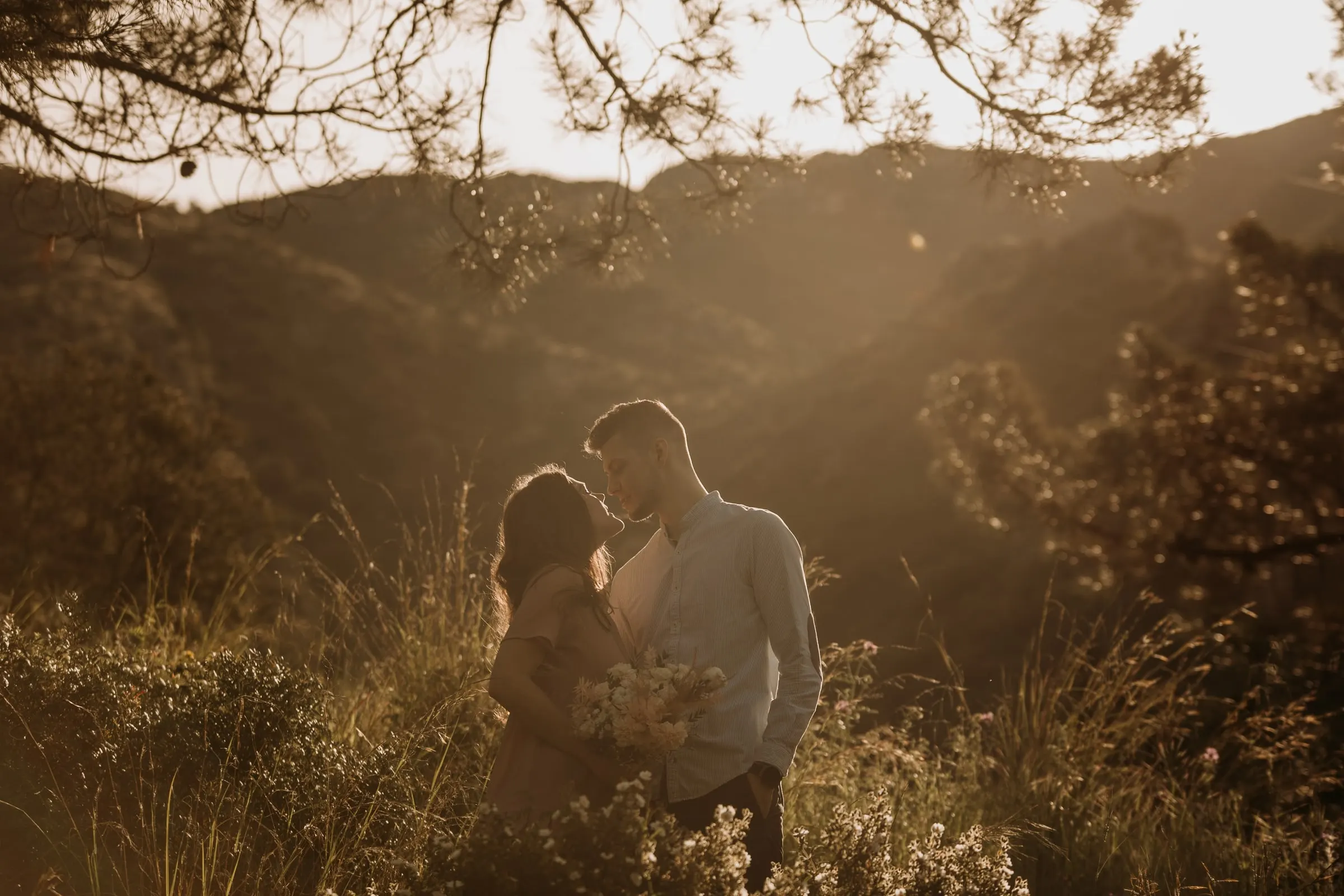 Couple close together among wild grasses and pine branches, hazy sunlight over the hills