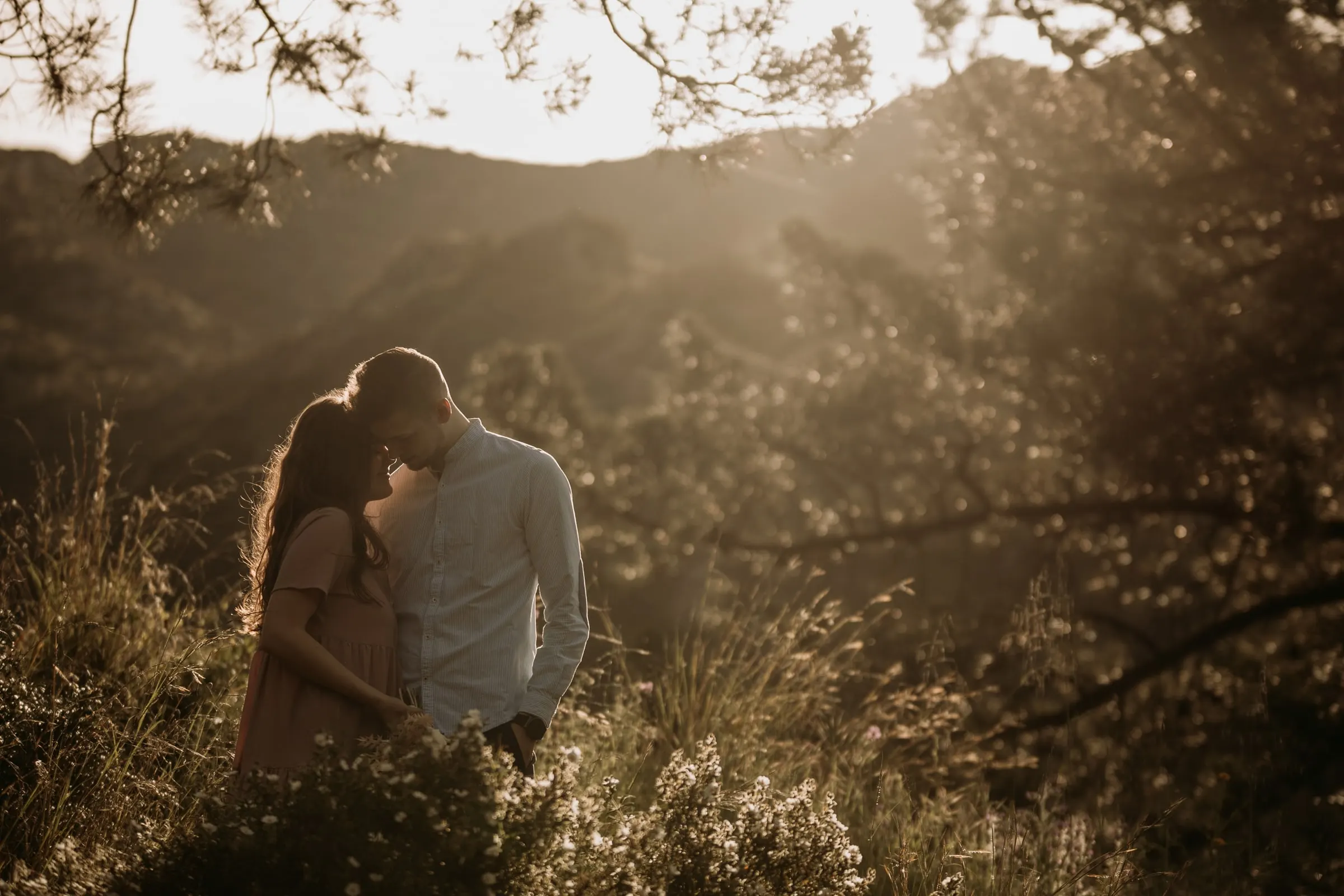 Couple embracing in the backlight among the bushes of the hillside