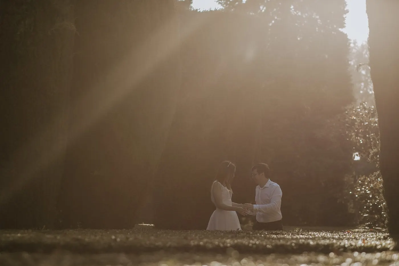 Los novios de la mano en un rayo de sol entre los setos