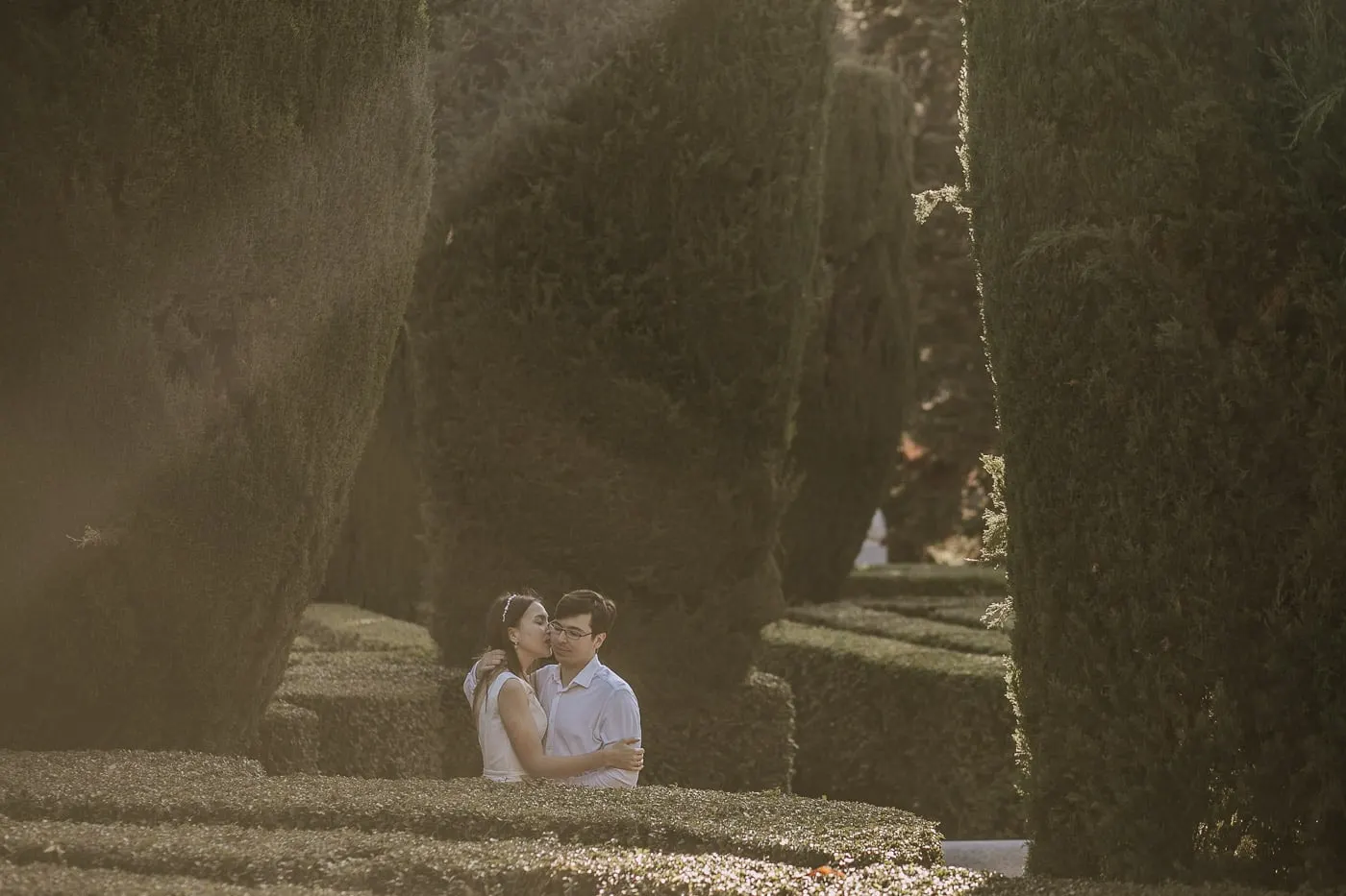 Los novios acurrucados entre los setos, con la luz entrando a chorros