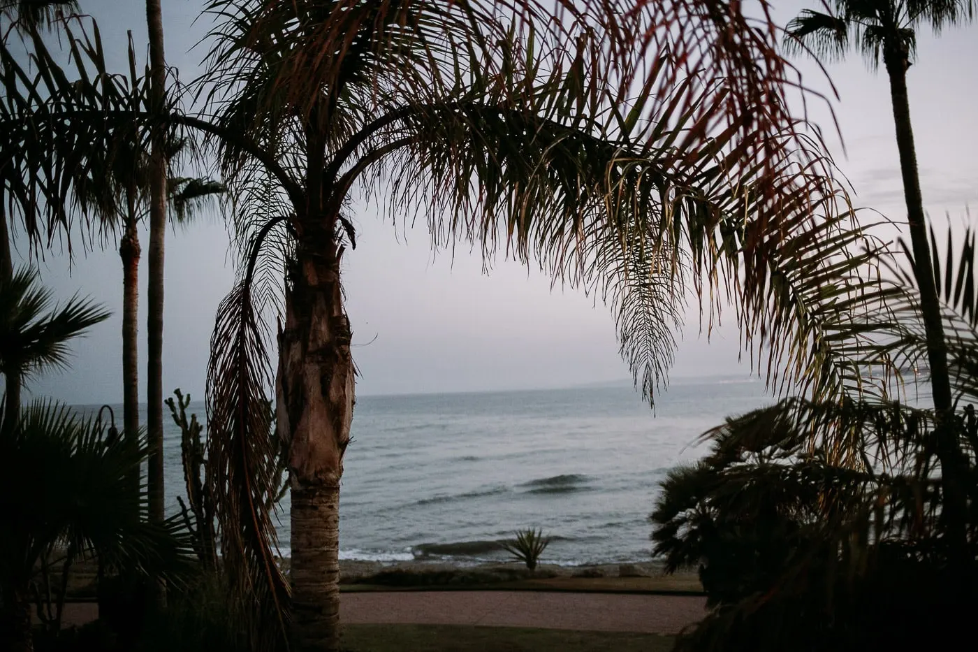 Palmeras que enmarcan el mar al anochecer desde los jardines de Tikitano, Estepona